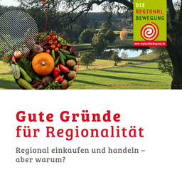 Broschüre Gute Gründe